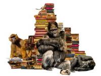 澳客足球官方网站首页-日本岛屿发现特朗普形椰子，猩猩：我呢？