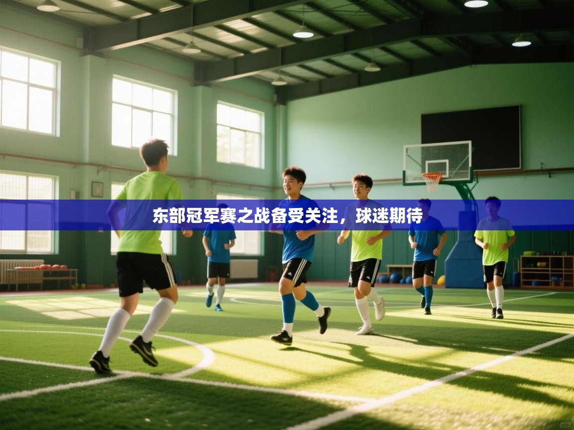 东部冠军赛之战备受关注，球迷期待  第2张